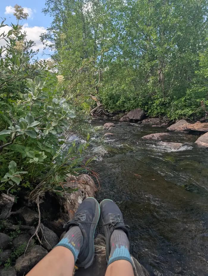 Potok v lese Potok v lese